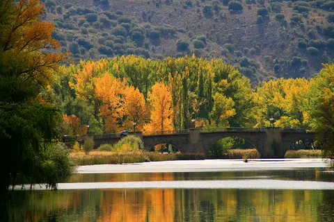 Aranda de Duero: Fiestas de la Virgen de las Viñas del 11 al 20 de septiembre