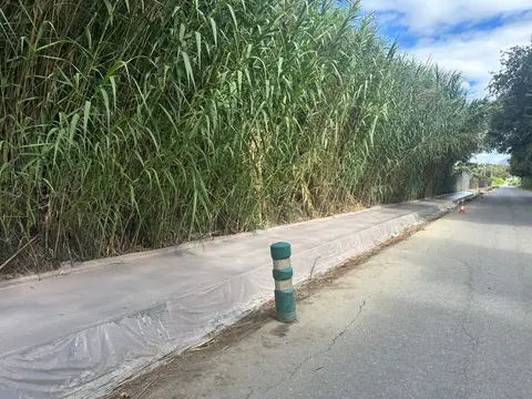 Casares avanza en la mejora del sendero del Papudo con una inversión de 70.000 euros