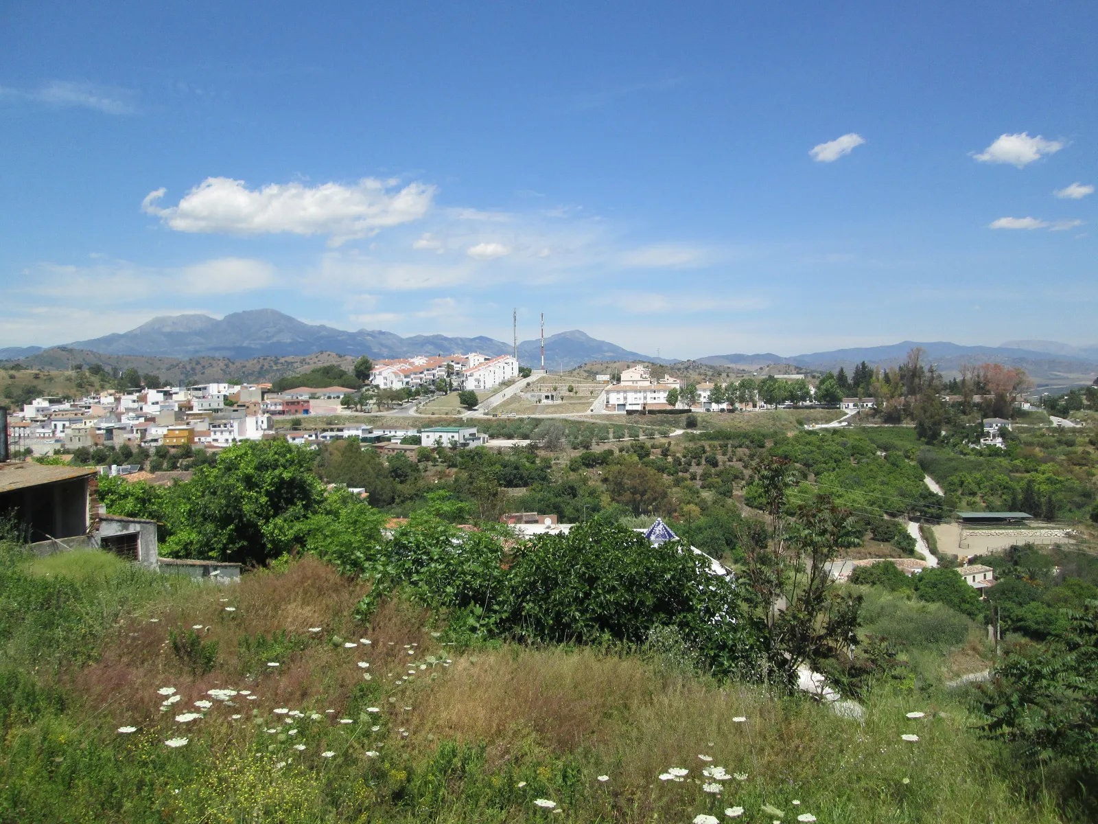 Coín abre el plazo de matriculación para sus Talleres Municipales 2026/2027