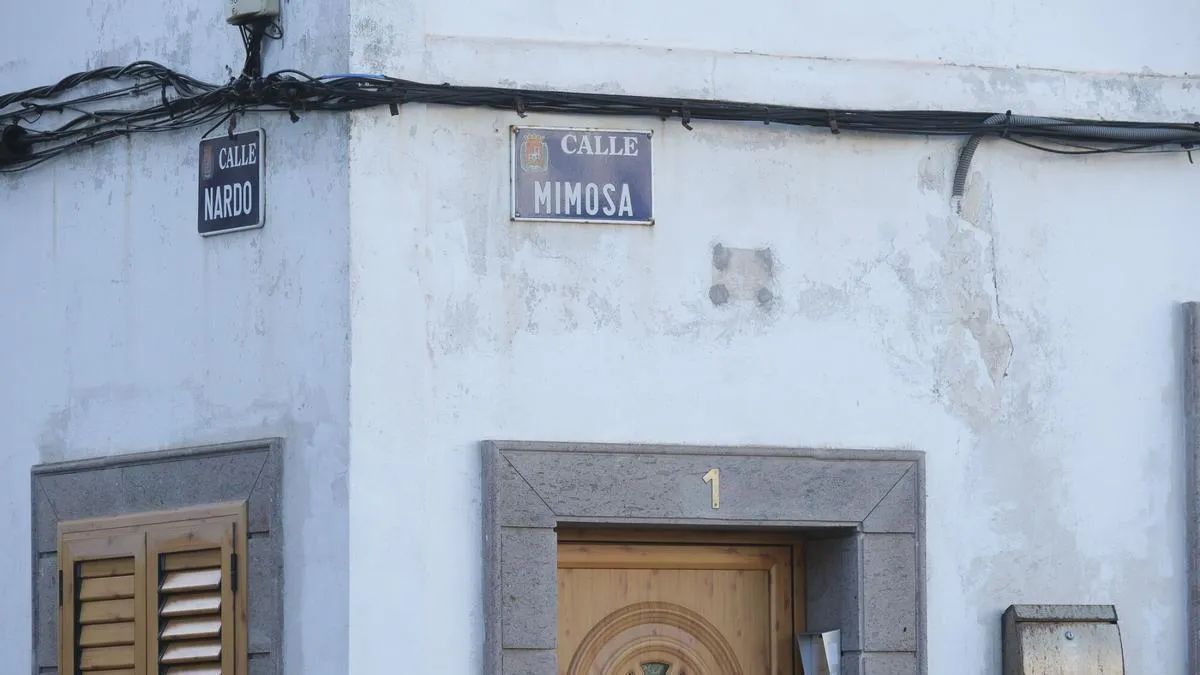 Las Torres, de huertas a antenas: la memoria de un barrio de Las Palmas